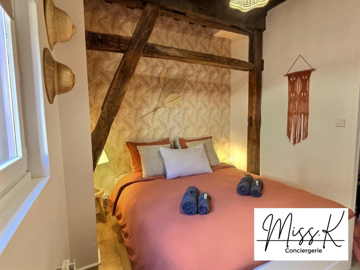 "La Fenetre Sur Le Marche" De Miss.K Conciergerie Appartement Châtillon-sur-Chalaronne Buitenkant foto